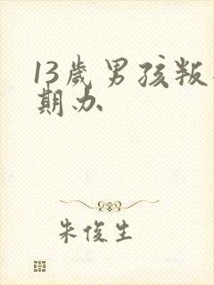 13岁男孩叛逆期办