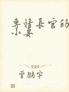 专情长官的天价小妻