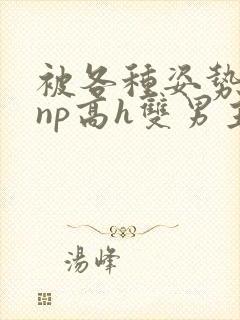 被各种姿势玩弄np高h双男主s