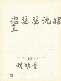 温瑟瑟沈昭摄政王