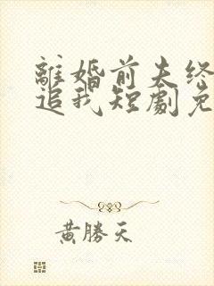 离婚前夫终是想追我短剧免费观看