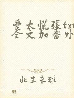 爱太慌张txt全文加番外