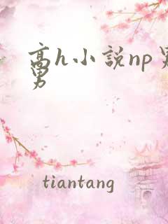 高h小说np男男