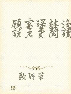 顾宴琛林浅月小说免费阅读最新章节