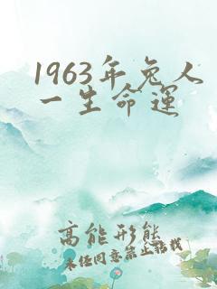 1963年兔人一生命运
