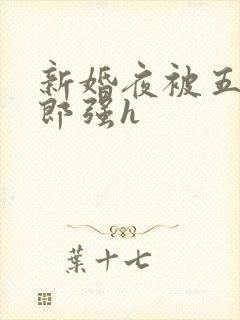 新婚夜被五个伴郎强h