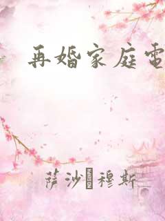 再婚家庭电视剧