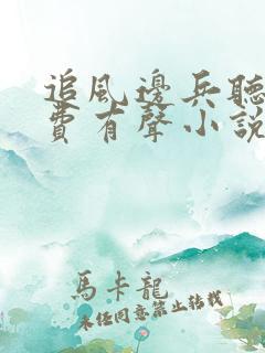 追风边兵听书免费有声小说