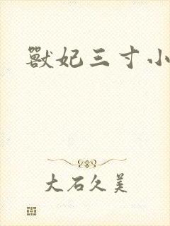 兽妃三寸小狂妻