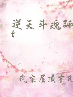 逆天斗魂师txt