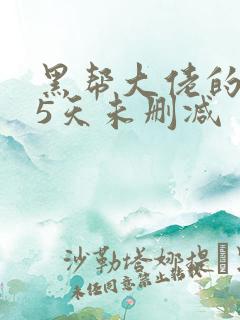 黑帮大佬的365天未删减