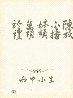 于万婷小陈的婚礼视频播放