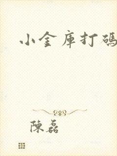 小金库打码平台