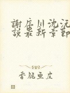 谢序川沈沅珠小说最新章节免费阅读