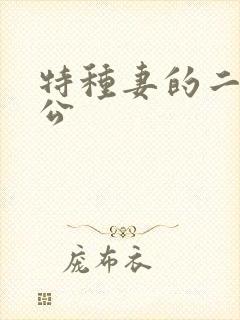 特种妻的二手老公