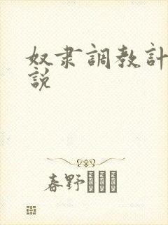 奴隶调教计划小说