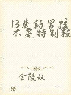 13岁的男孩是不是特别叛逆