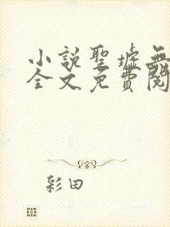 小说圣墟无弹窗全文免费阅读