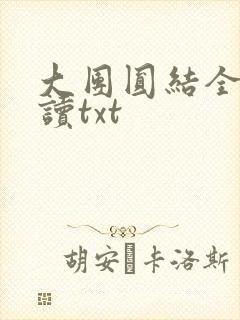 大团圆结全文阅读txt