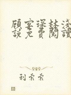 顾宴琛林浅月小说免费阅读最新章节