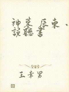 神墓 辰东 小说听书