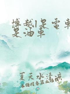 博越l是电车还是油车