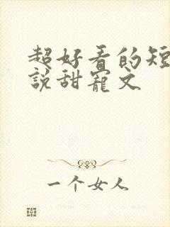 超好看的短篇小说甜宠文