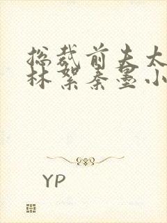 总裁前夫太难缠林絮秦墨小说