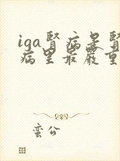 iga肾病是肾病里最严重的吗