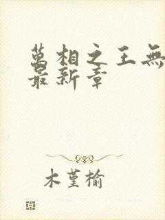 万相之王无弹窗最新章