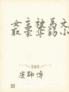 女主被马文才强取豪夺的小说