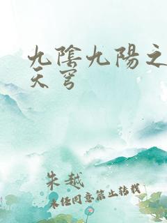 九阴九阳之武战天穹
