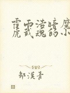 霍雨浩暗魔邪神虎武魂的小说