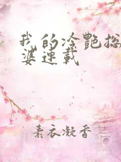 我的冷艳总裁老婆连载