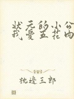 状元的小公主(我爱五花肉)