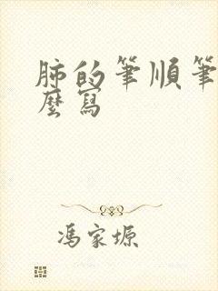 肺的笔顺笔画怎么写