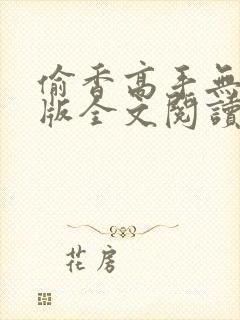 偷香高手无删减版全文阅读