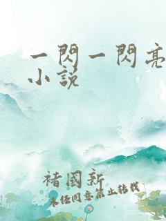 一闪一闪亮晶晶小说