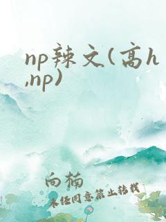 np辣文(高h,np)
