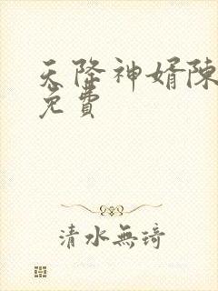 天降神婿陈黄皮免费