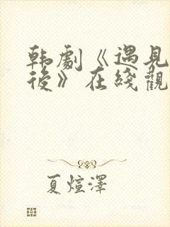 韩剧《遇见你之后》在线观看