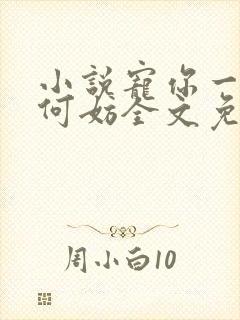 小说宠你一世又何妨全文免费阅读