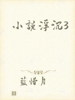 小说浮沉3