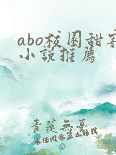 abo校园甜宠小说推荐