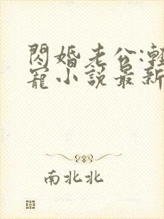 闪婚老公:轻点宠小说最新