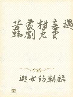 苦尽柑来遇见你韩剧免费