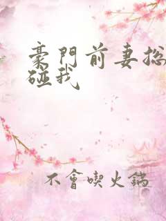 豪门前妻总裁别碰我