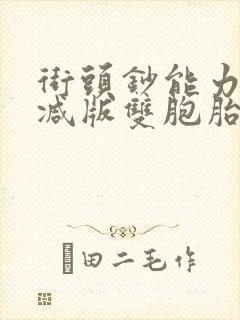 街头钞能力无删减版双胞胎