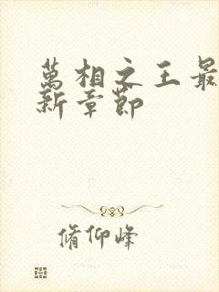 万相之王最近更新章节