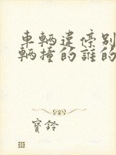 车辆违停别的车辆撞的谁的责任